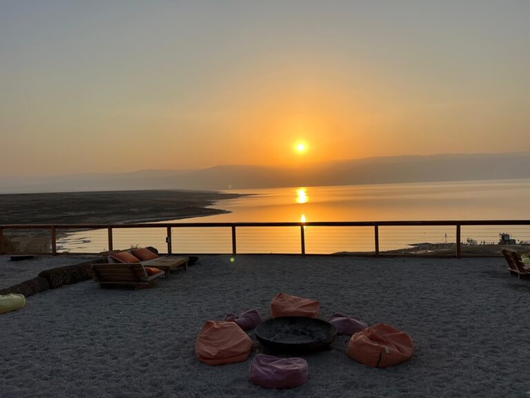 WhatsApp Image 2024-11-04 at 11.42.31 2